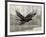 Camouflage Animals - Hawk-Tania Bello-Framed Giclee Print