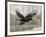 Camouflage Animals - Hawk-Tania Bello-Framed Giclee Print