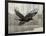 Camouflage Animals - Hawk-Tania Bello-Framed Giclee Print