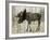 Camouflage Animals - Moose-Tania Bello-Framed Giclee Print