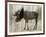 Camouflage Animals - Moose-Tania Bello-Framed Giclee Print