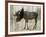 Camouflage Animals - Moose-Tania Bello-Framed Giclee Print