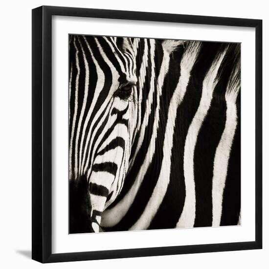 Camouflage I-Susann Parker-Framed Photographic Print