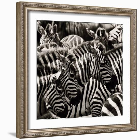 Camouflage II-Susann Parker-Framed Photographic Print