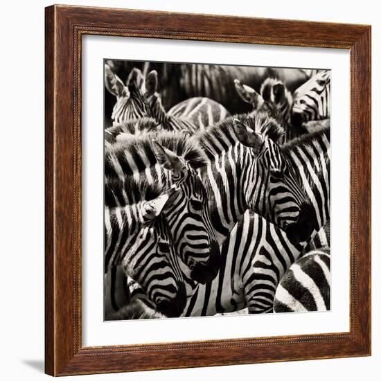 Camouflage II-Susann Parker-Framed Photographic Print