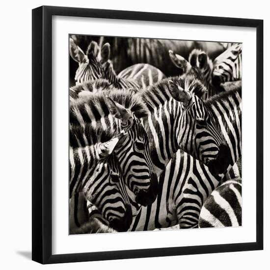 Camouflage II-Susann Parker-Framed Photographic Print