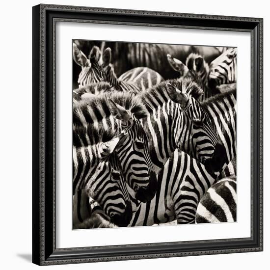 Camouflage II-Susann Parker-Framed Photographic Print