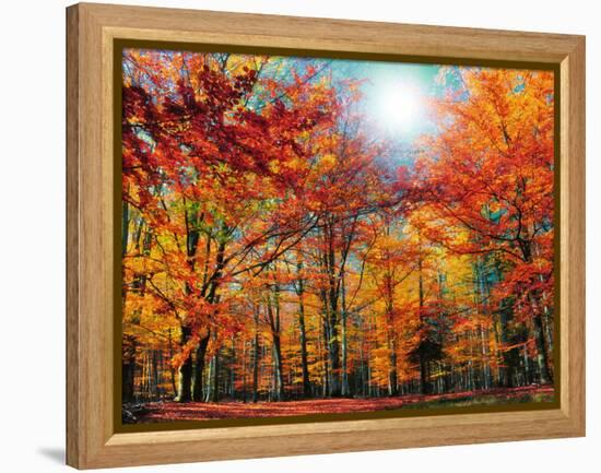 Camouflage-Philippe Sainte-Laudy-Framed Premier Image Canvas