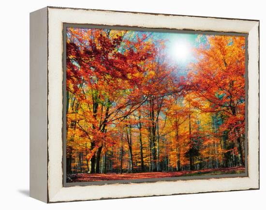 Camouflage-Philippe Sainte-Laudy-Framed Premier Image Canvas