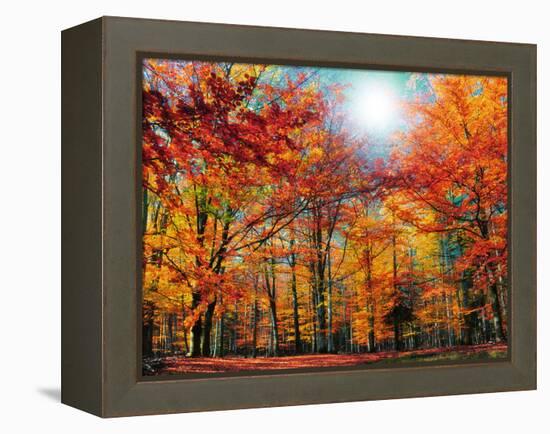 Camouflage-Philippe Sainte-Laudy-Framed Premier Image Canvas