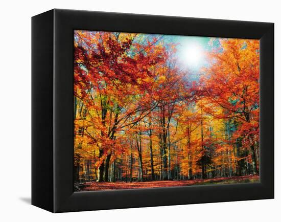 Camouflage-Philippe Sainte-Laudy-Framed Premier Image Canvas