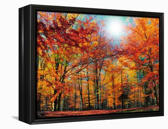 Camouflage-Philippe Sainte-Laudy-Framed Premier Image Canvas