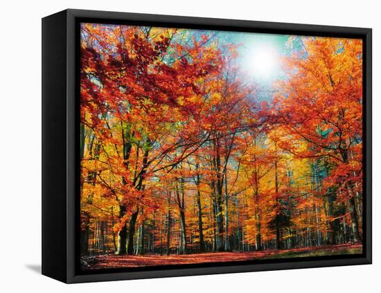 Camouflage-Philippe Sainte-Laudy-Framed Premier Image Canvas