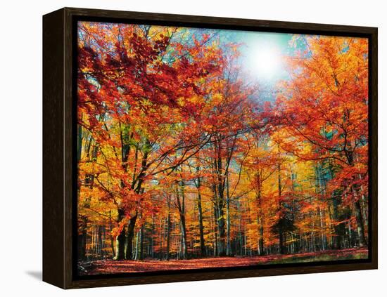 Camouflage-Philippe Sainte-Laudy-Framed Premier Image Canvas