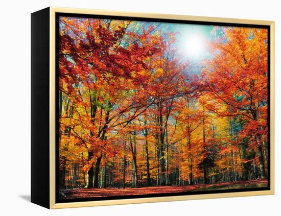 Camouflage-Philippe Sainte-Laudy-Framed Premier Image Canvas