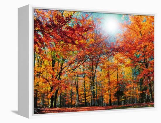 Camouflage-Philippe Sainte-Laudy-Framed Premier Image Canvas