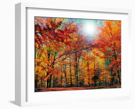 Camouflage-Philippe Sainte-Laudy-Framed Premium Photographic Print