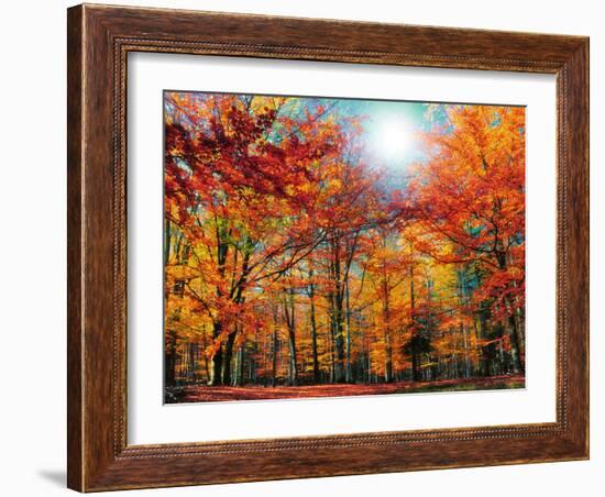 Camouflage-Philippe Sainte-Laudy-Framed Photographic Print