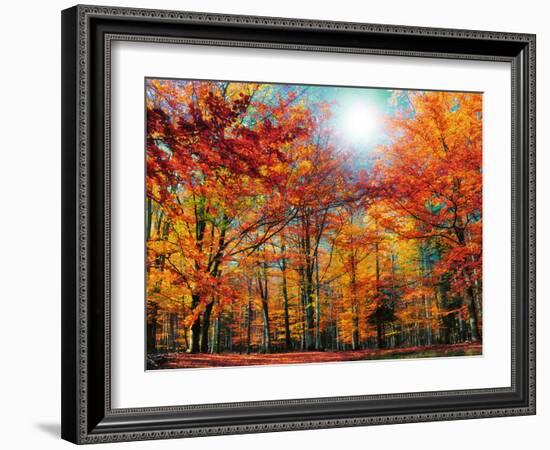 Camouflage-Philippe Sainte-Laudy-Framed Photographic Print