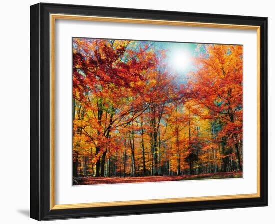 Camouflage-Philippe Sainte-Laudy-Framed Photographic Print