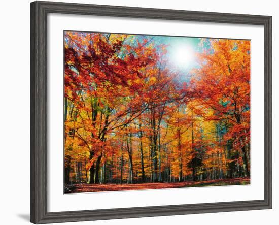 Camouflage-Philippe Sainte-Laudy-Framed Photographic Print