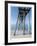 Camp Helen Pier-John Gynell-Framed Giclee Print