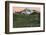 'Camp of the Clouds, Mount Rainier', c1916-Asahel Curtis-Framed Photographic Print