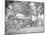 Camp Scene at a Sutler's Store During American Civil War-Stocktrek Images-Mounted Photographic Print