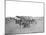 Camp Scene During the American Civil War-Stocktrek Images-Mounted Photographic Print