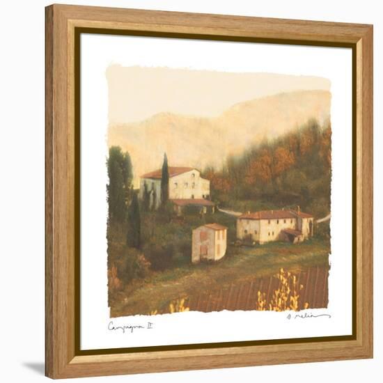 Campagna II-Amy Melious-Framed Stretched Canvas