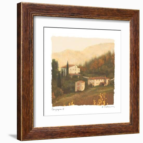 Campagna II-Amy Melious-Framed Art Print