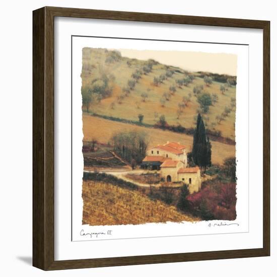 Campagna III-Amy Melious-Framed Premium Giclee Print