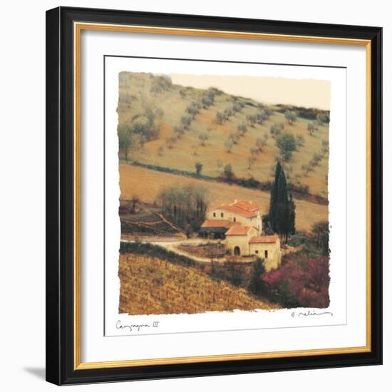 Campagna III-Amy Melious-Framed Premium Giclee Print