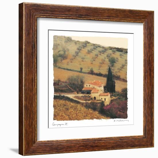 Campagna III-Amy Melious-Framed Art Print