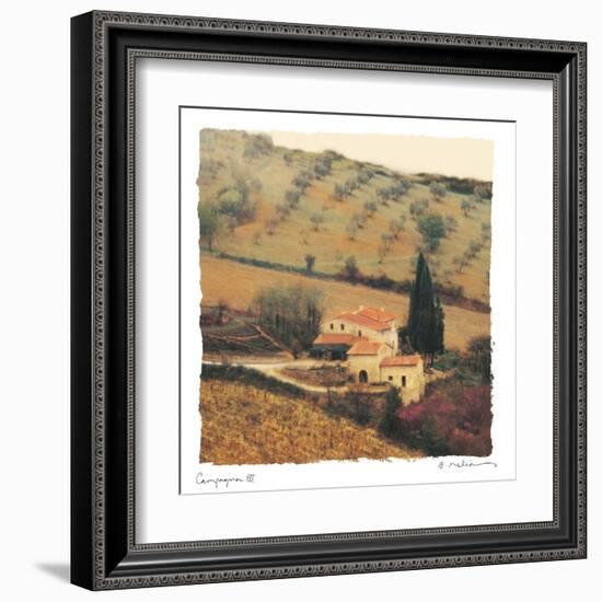 Campagna III-Amy Melious-Framed Art Print