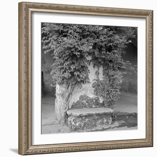 Campagnia II-Alan Blaustein-Framed Photographic Print