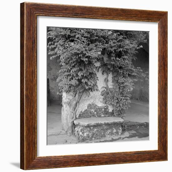 Campagnia II-Alan Blaustein-Framed Photographic Print