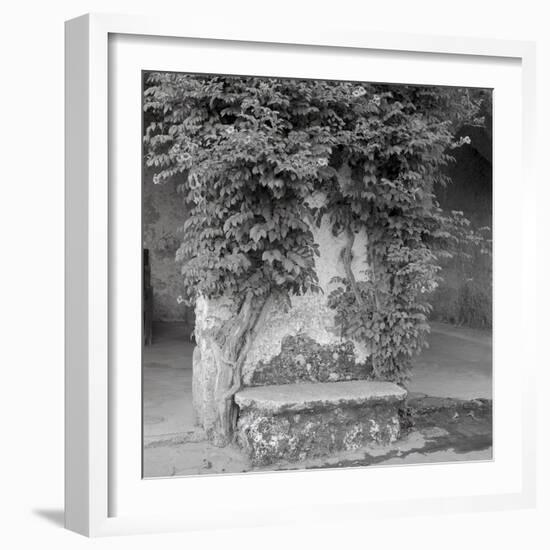 Campagnia II-Alan Blaustein-Framed Photographic Print