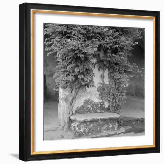 Campagnia II-Alan Blaustein-Framed Photographic Print