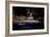 Campaign 2016 Clinton-Andrew Harnik-Framed Photographic Print