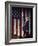 Campaign 2016 Trump-Charles Krupa-Framed Photographic Print