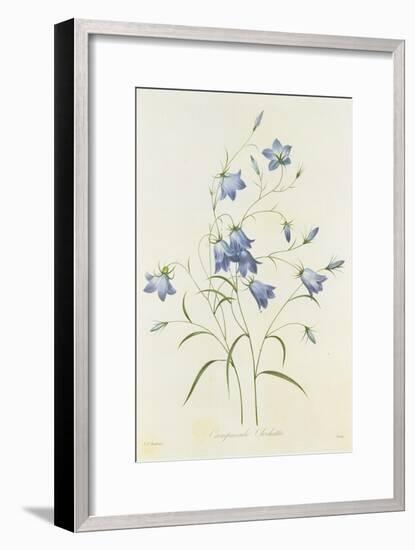 Campanula, from 'Choix Des Plus Belles Fleurs', 1827-33-Pierre-Joseph Redouté-Framed Giclee Print