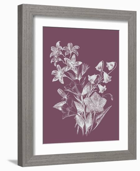 Campanulas Purple Flower-Jasmine Woods-Framed Art Print