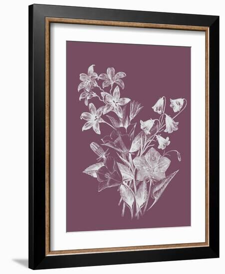 Campanulas Purple Flower-Jasmine Woods-Framed Art Print