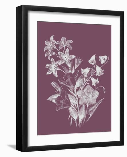 Campanulas Purple Flower-Jasmine Woods-Framed Art Print