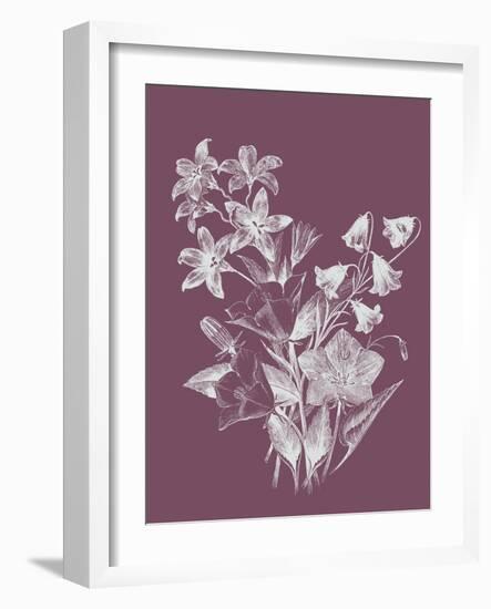 Campanulas Purple Flower-Jasmine Woods-Framed Art Print