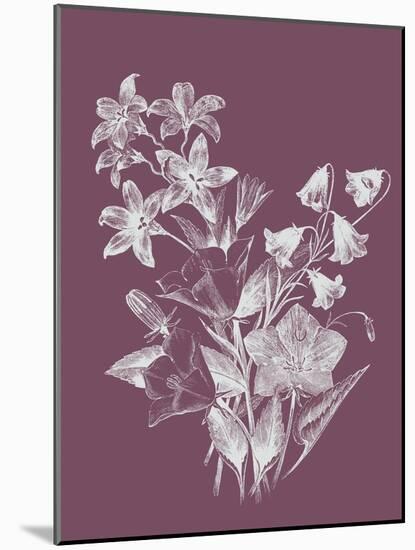 Campanulas Purple Flower-Jasmine Woods-Mounted Art Print
