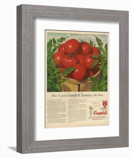 Campbell's, Magazine Advertisement, USA, 1950-null-Framed Giclee Print