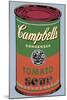 Campbell's Soup Can, 1965 (Green and Red)-Andy Warhol-Mounted Giclee Print