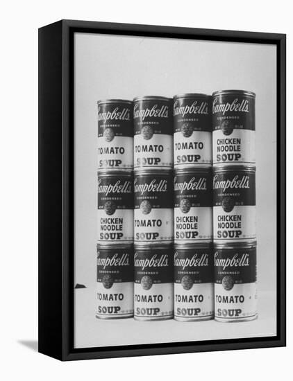 Campbell's Soup Cans Being Used as Example of Pop Culture-Yale Joel-Framed Premier Image Canvas